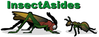 InsectAsides