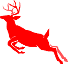 Stag Jumping Image