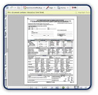 Screenshot of Electronic Report