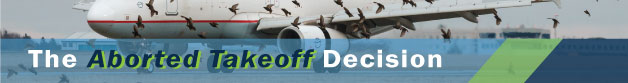 The Aborted Takeoff Decision